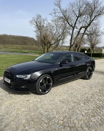 Audi A5 cena 77900 przebieg: 119000, rok produkcji 2013 z Kielce małe 191